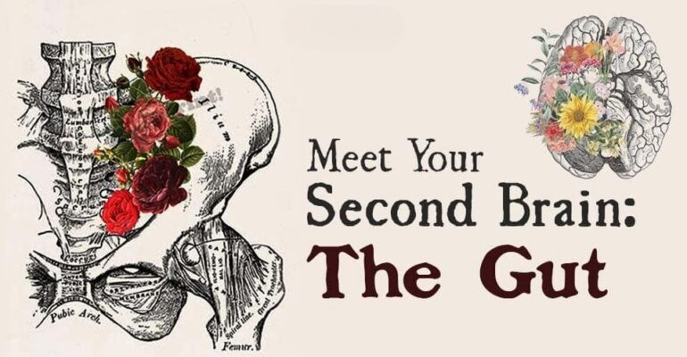 Meet-Your-Second-Brain-The-Gut-1-1 (1)